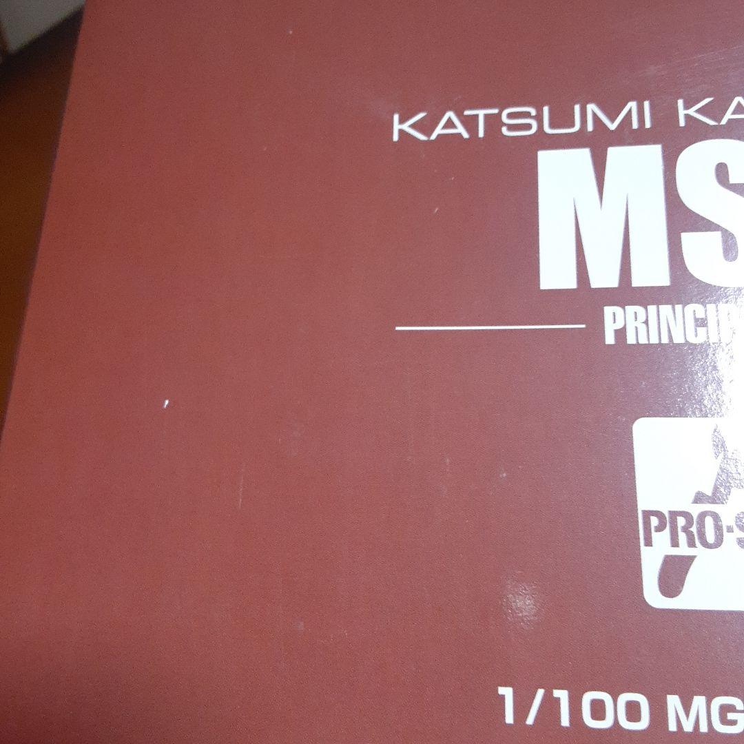ガンダム MG MS-06J ZAKU ザグ Ver.2.0 川口名人Ver.