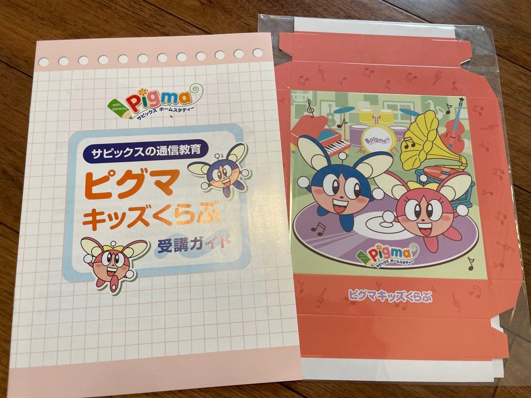 【未記入】サピックス　ピグマ　2年生　通信
