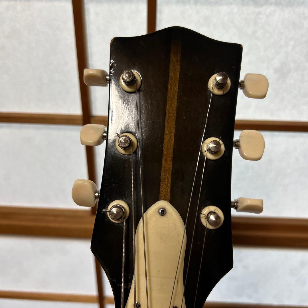 NARDAN NO.120　 ナルダンピックギター アーチトップ