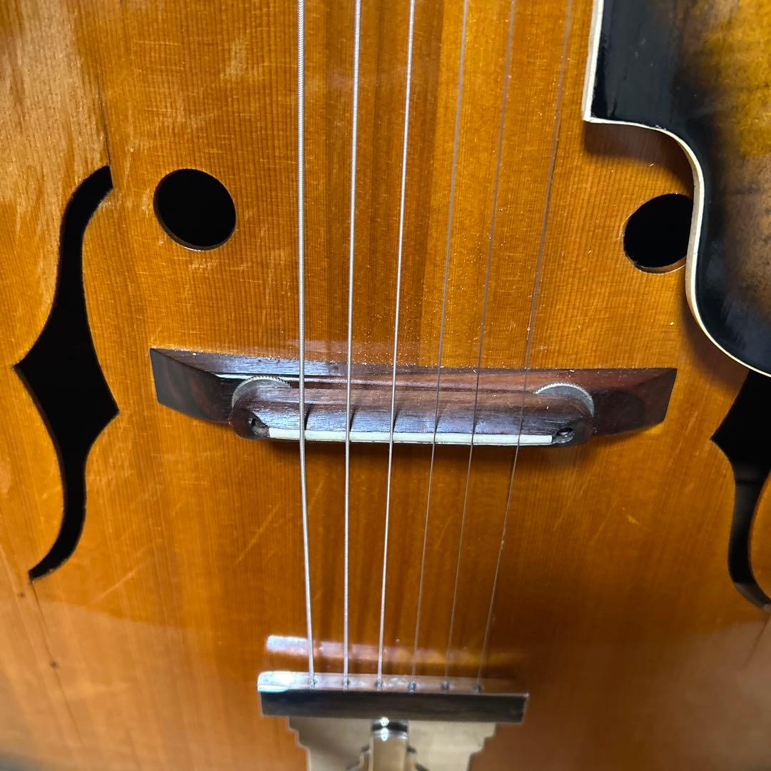 NARDAN NO.120　 ナルダンピックギター アーチトップ