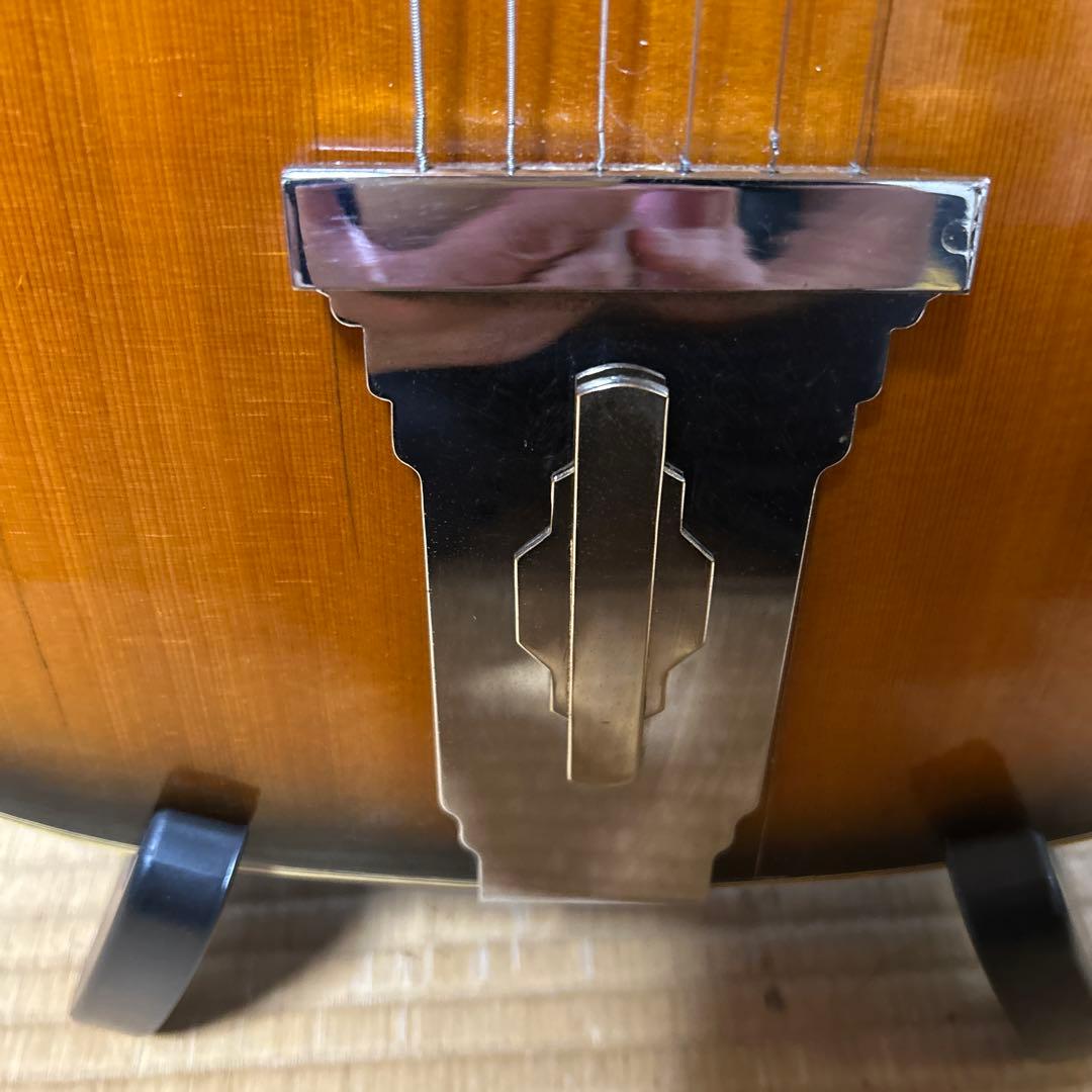 NARDAN NO.120　 ナルダンピックギター アーチトップ