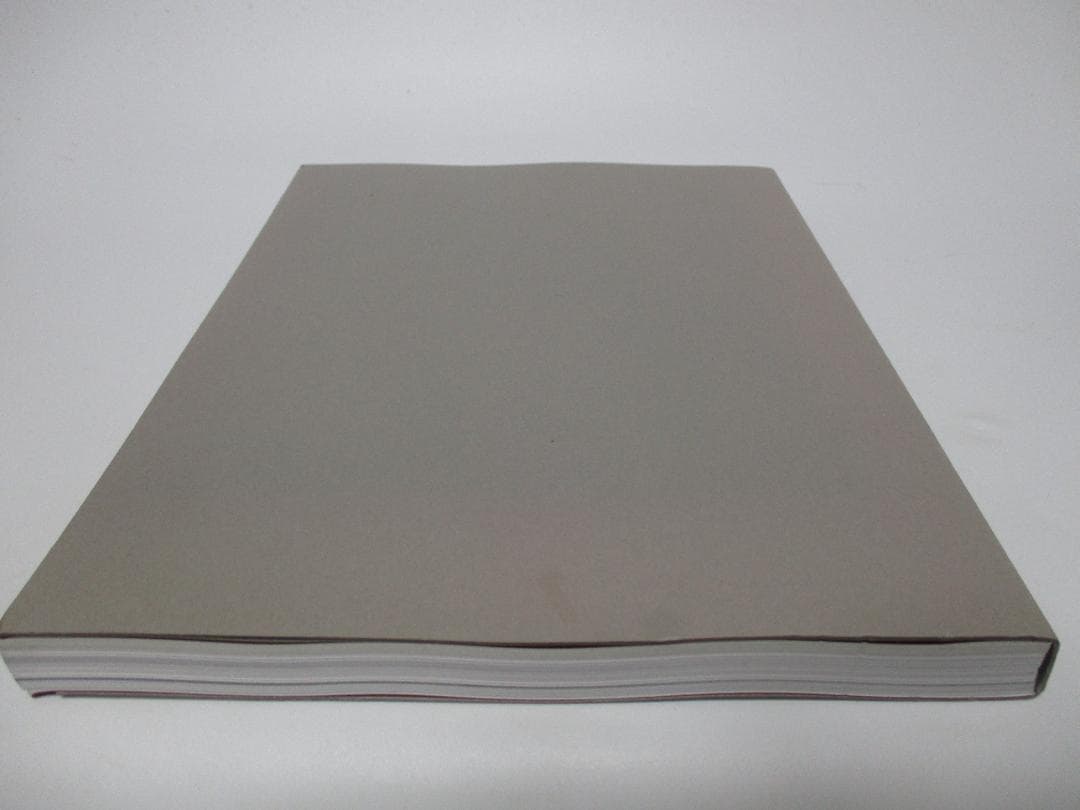 Double Silence 図録 ミヒャエル ポレマンス