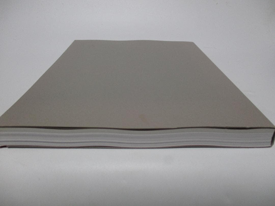 Double Silence 図録 ミヒャエル ポレマンス