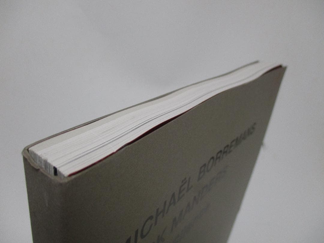 Double Silence 図録 ミヒャエル ポレマンス