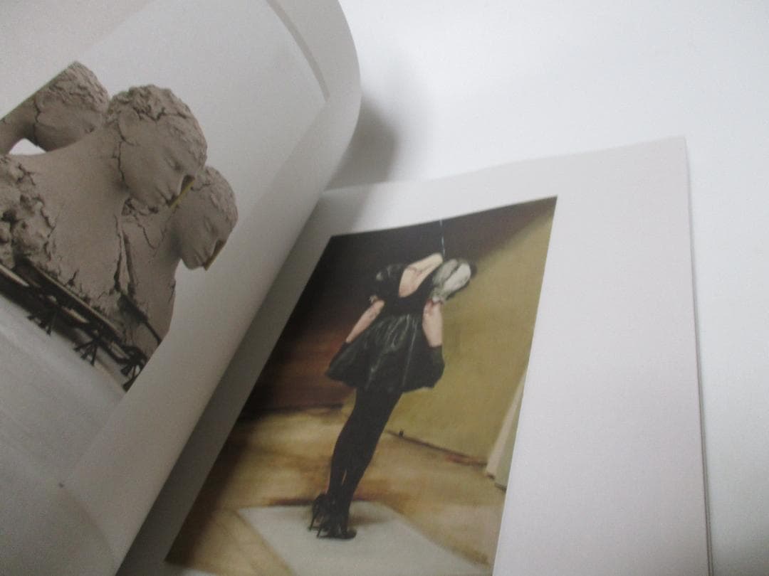 Double Silence 図録 ミヒャエル ポレマンス