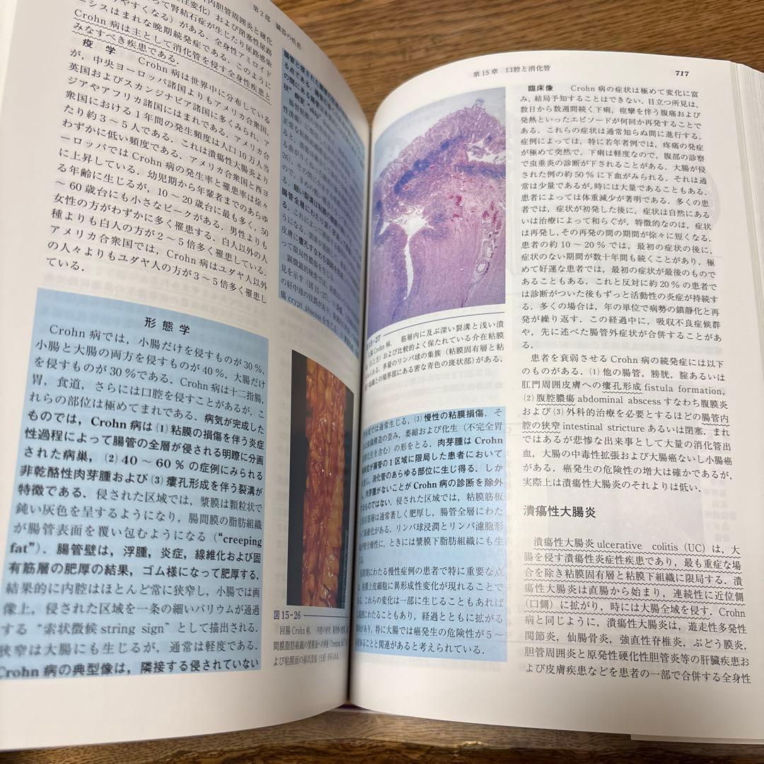 基礎病理学 第7版 basic pathology