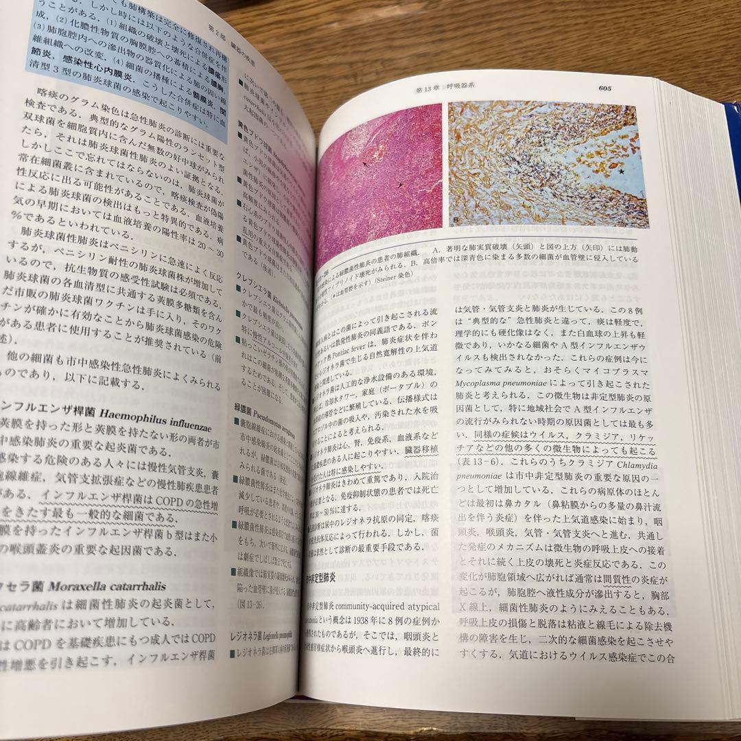 基礎病理学 第7版 basic pathology