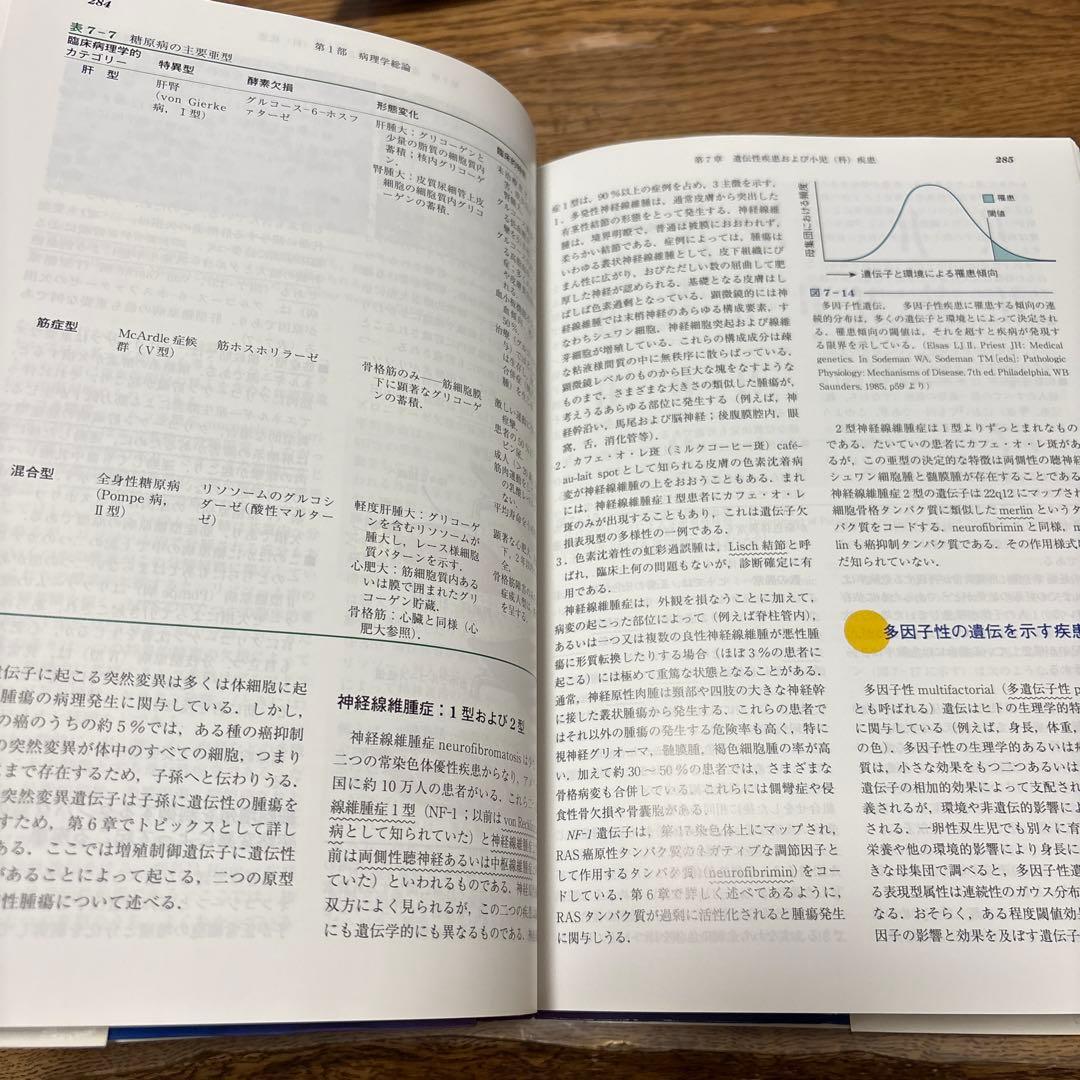 基礎病理学 第7版 basic pathology