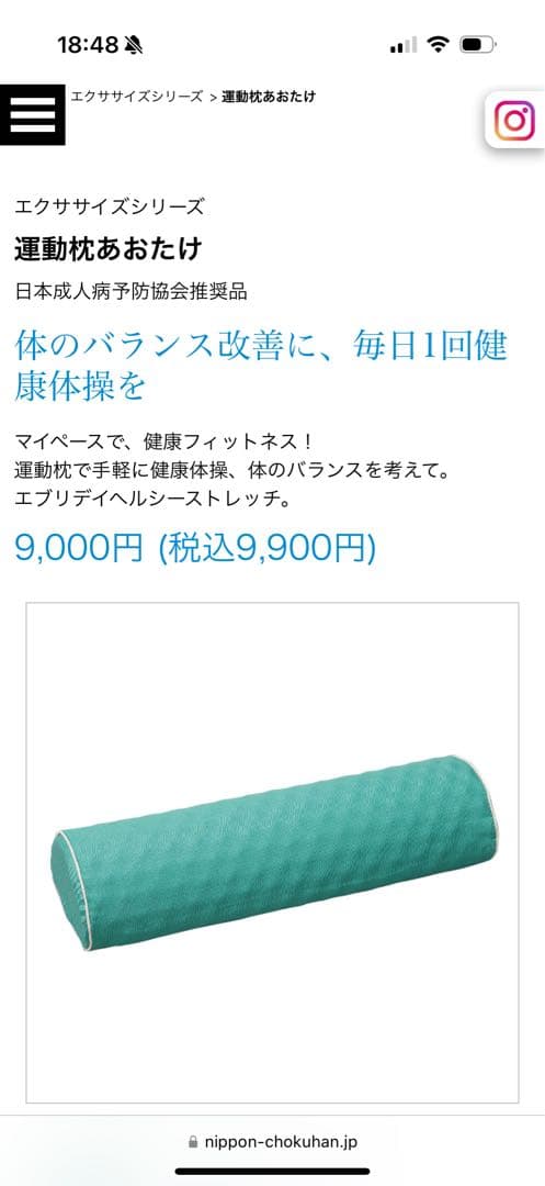 あおたけ運動枕　AOTAKE Chiropractic エクササイズバンドセット