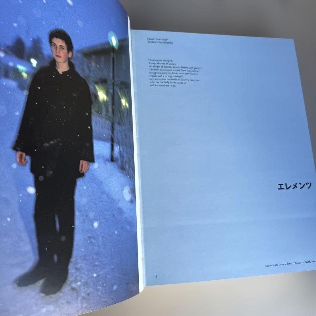 悪魔の遊び場 ナン・ゴールディン PHAIDON