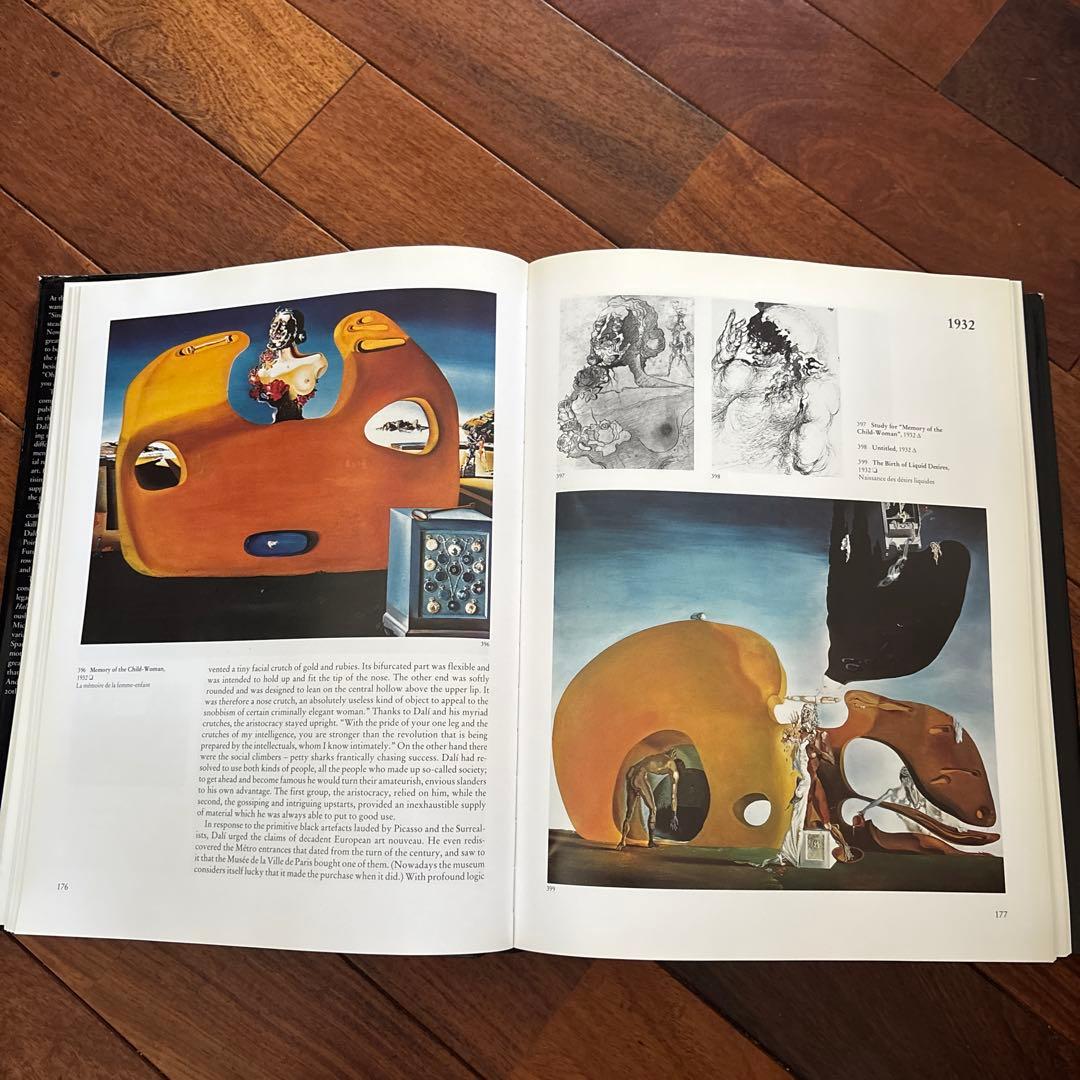 DALÍ The Paintings DALI ダリ全集 英語版