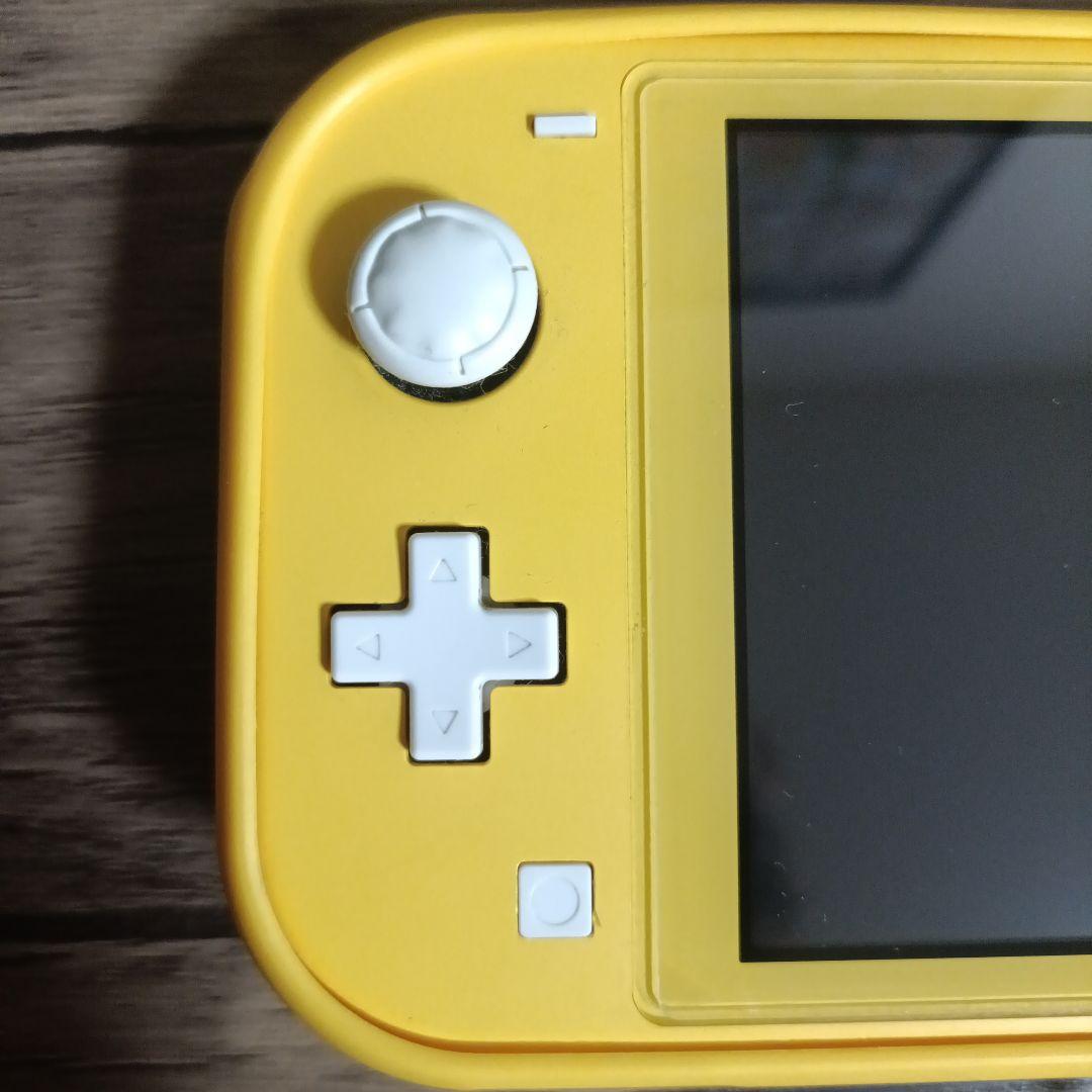 Switchライト ニンテンドースイッチ ケース付き