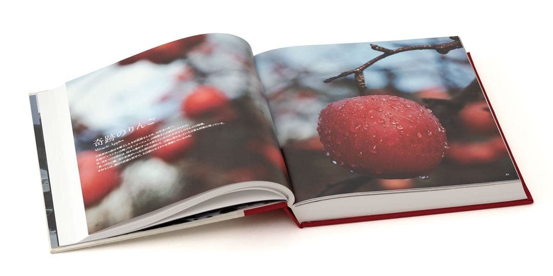 三國清三 Kiyomi Mikuni JAPONISÉE 日本語版