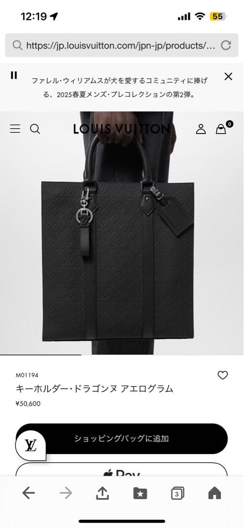 Louis Vuitton キーホルダー•ドラゴンヌ アエログラム