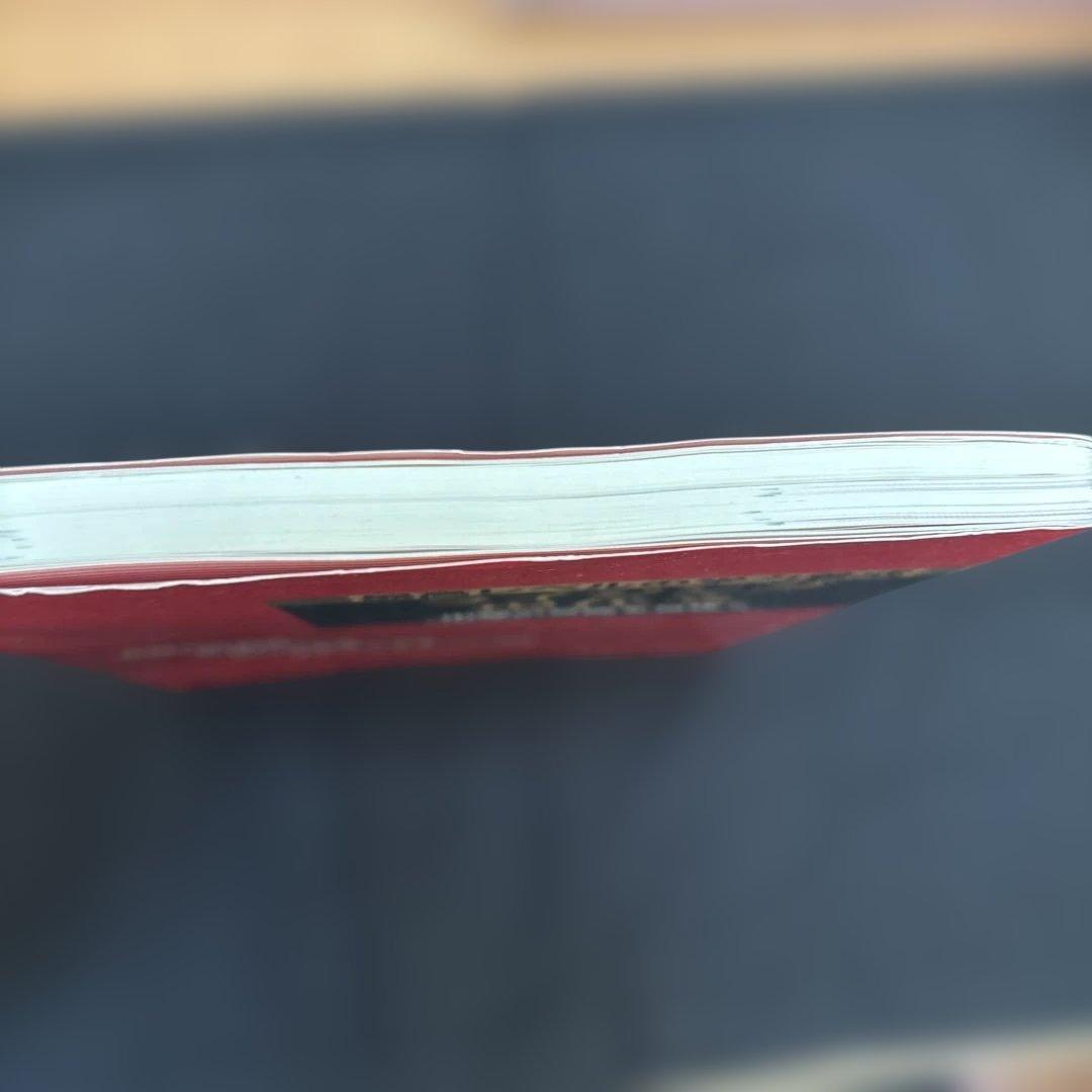 ライジング 現代文