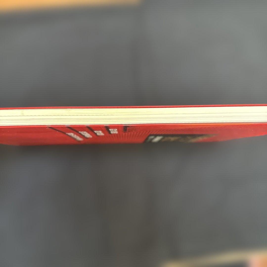 ライジング 現代文