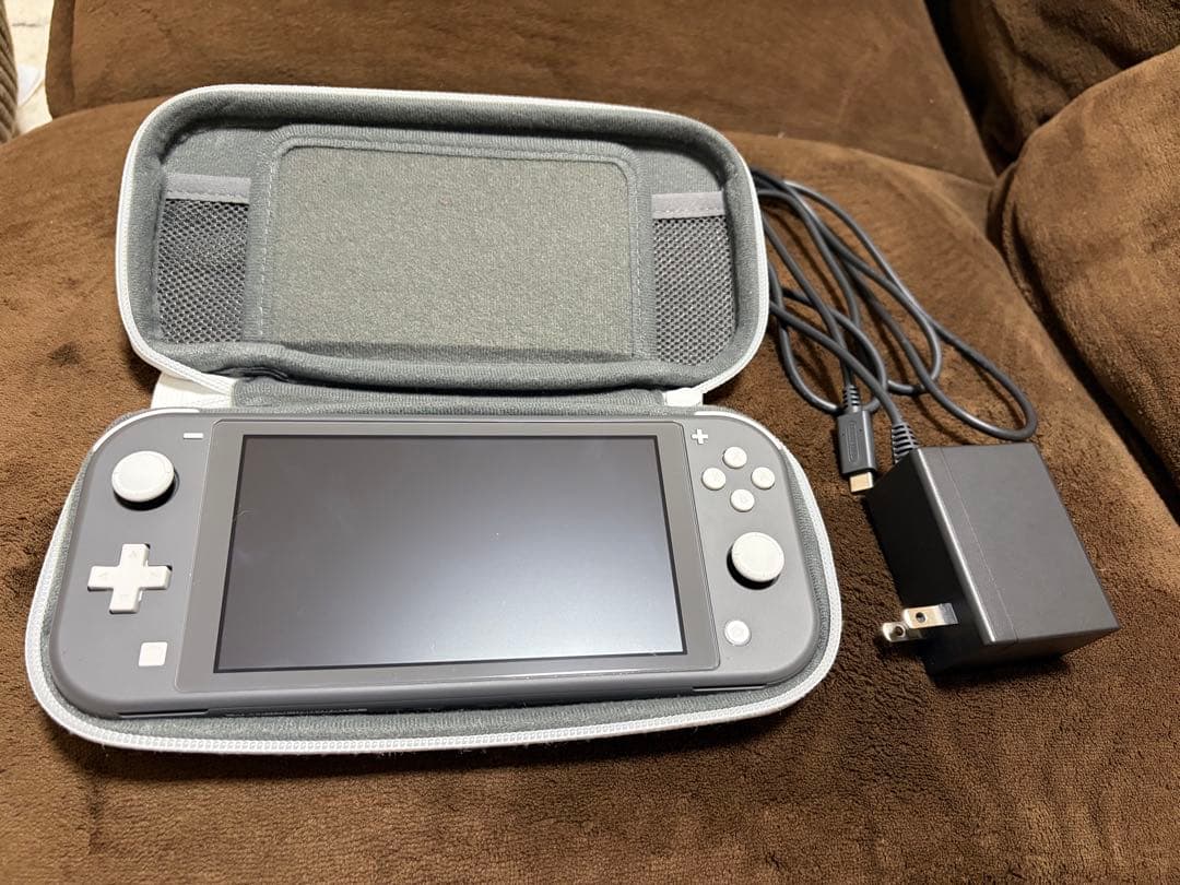 Nintendo Switch Lite グレー 本体 充電器 ケース付き