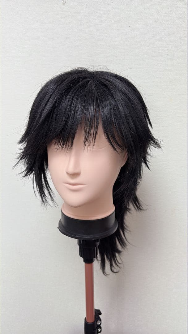 鬼滅の刃 冨岡義勇　衣装　ウィッグ付きフルセット