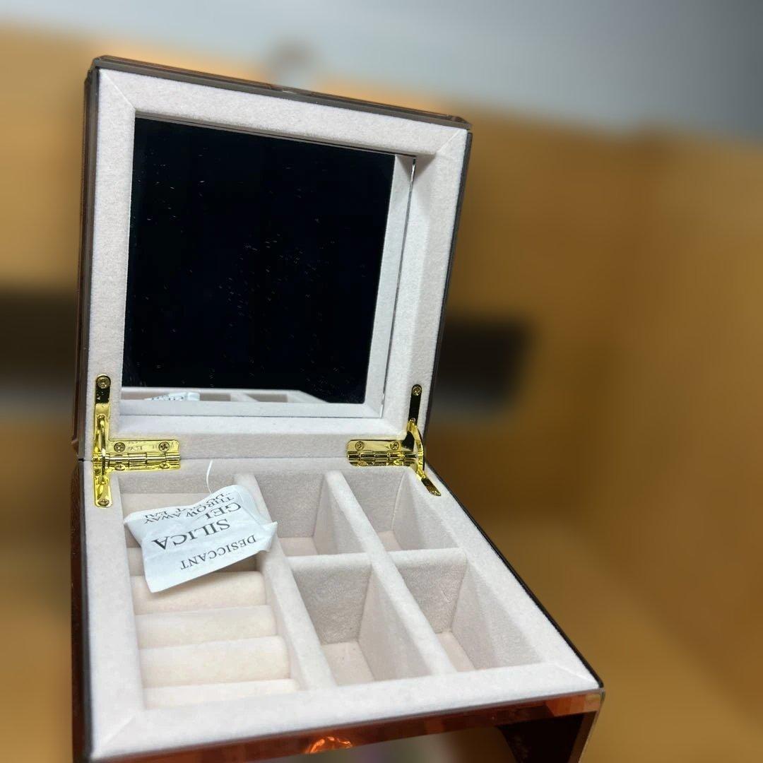 東京ディズニーランド パルパルーザ ミニー ジュエリーボックス