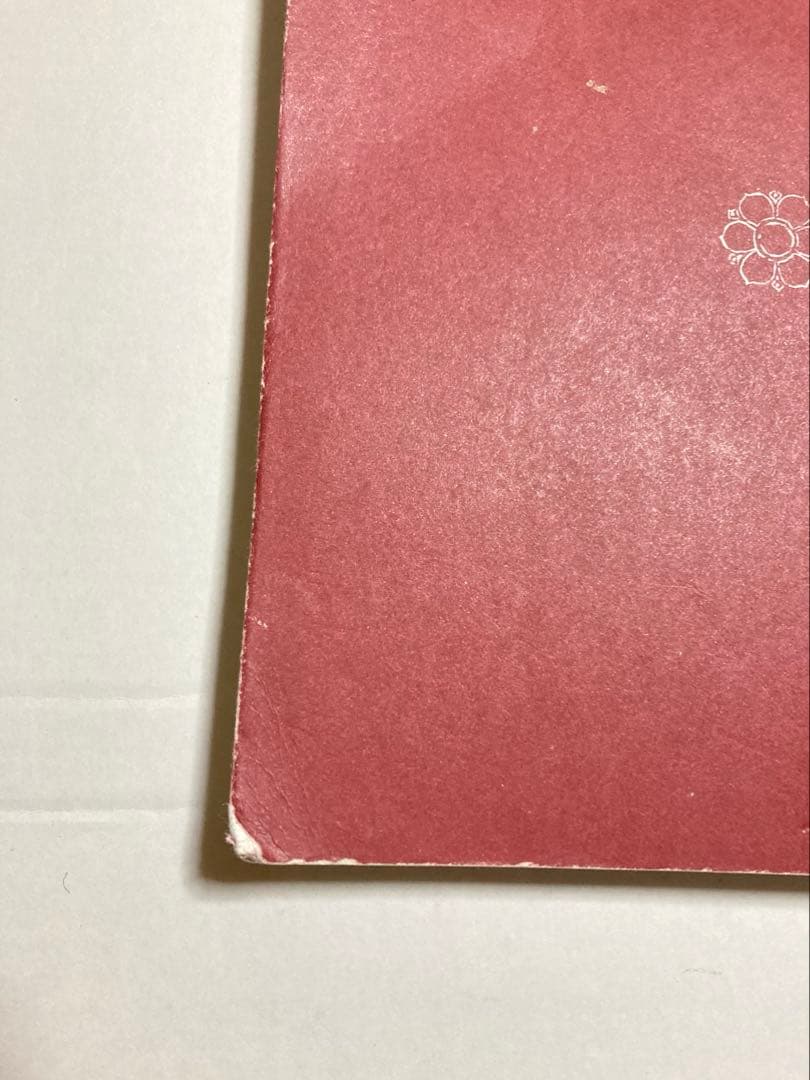 MYSORE STYLE アシュタンガヨガ Ashtangayoga 写真集