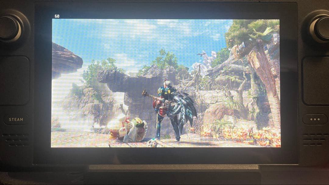 その他 Steam Deck - 256GB LCD