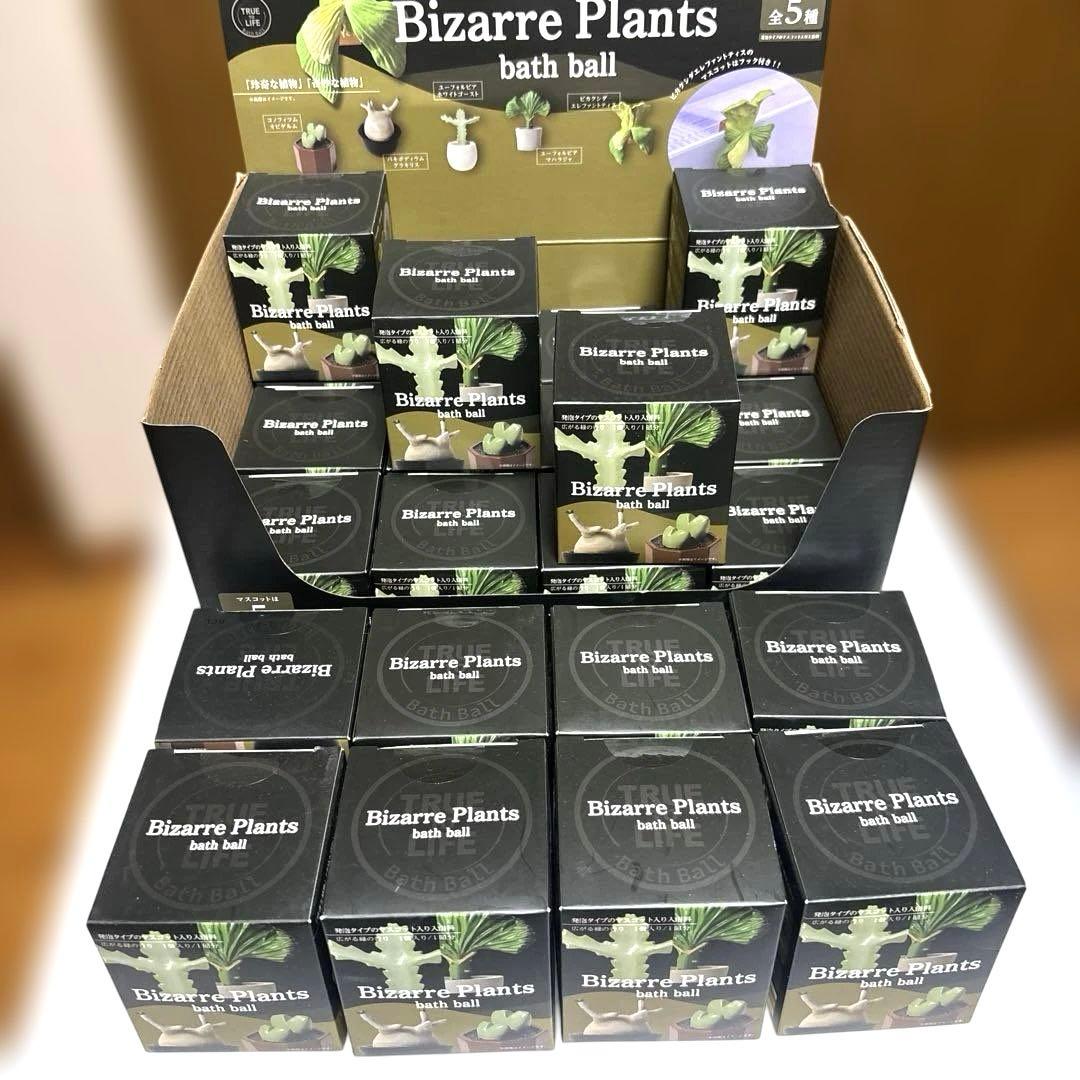 ビザールプランツ　バスボール　24個1箱BOX付き
