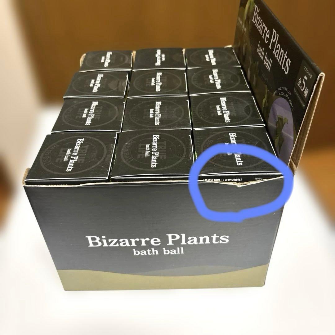 ビザールプランツ　バスボール　24個1箱BOX付き
