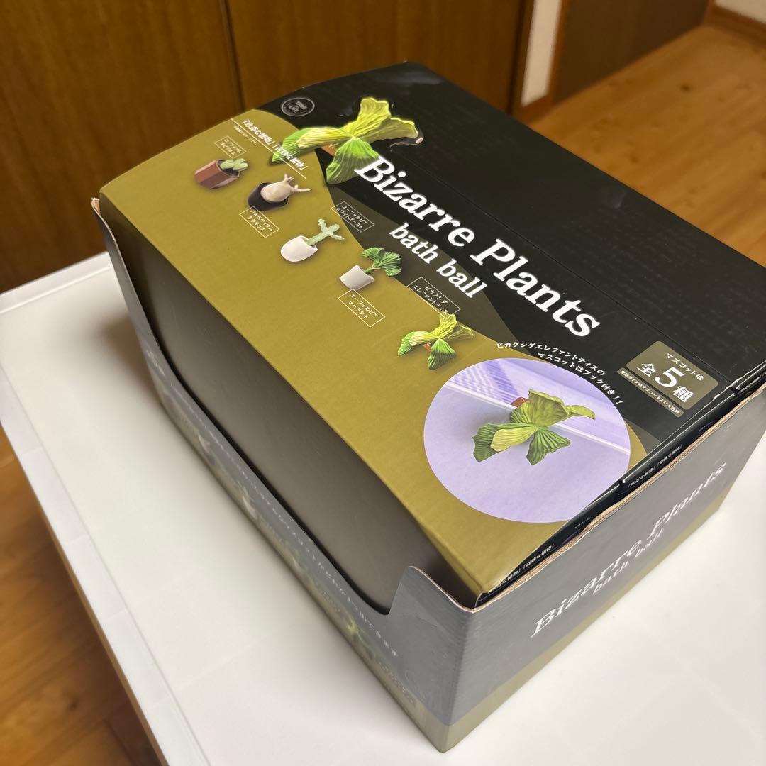 ビザールプランツ　バスボール　24個1箱BOX付き
