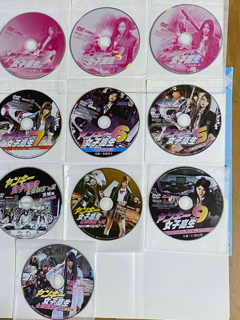 ヤンキー女子高生 全9巻セットとヤンキー女子高生全国制覇への道 全4巻 計13枚