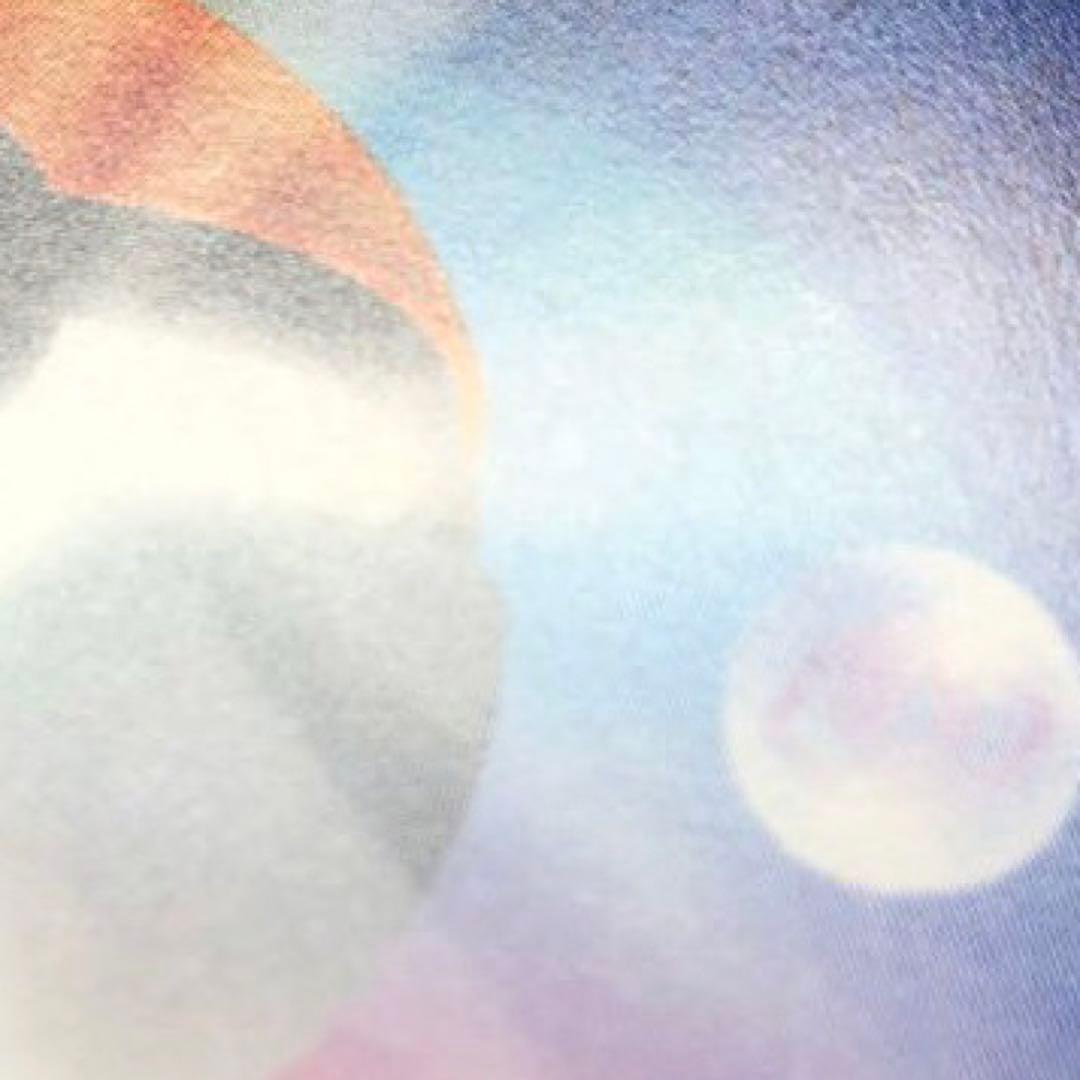 ポケモンカード　メガリザードンXex SAR