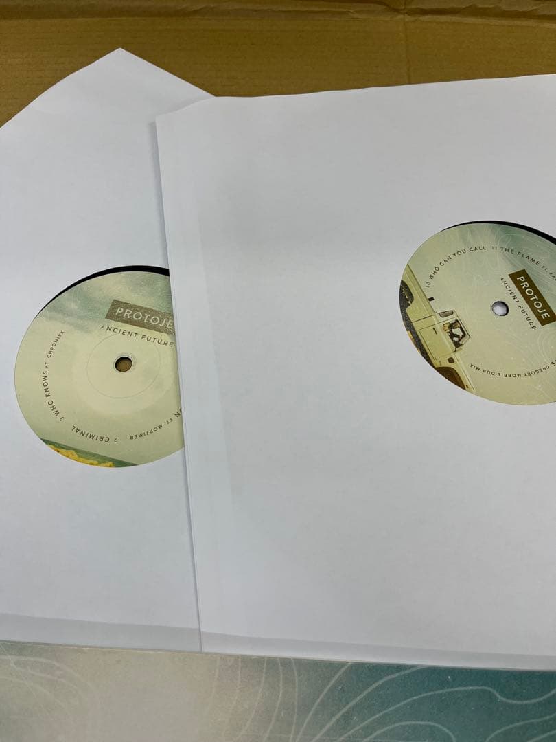 Protoje / Ancient Future 2枚組 LP レコード