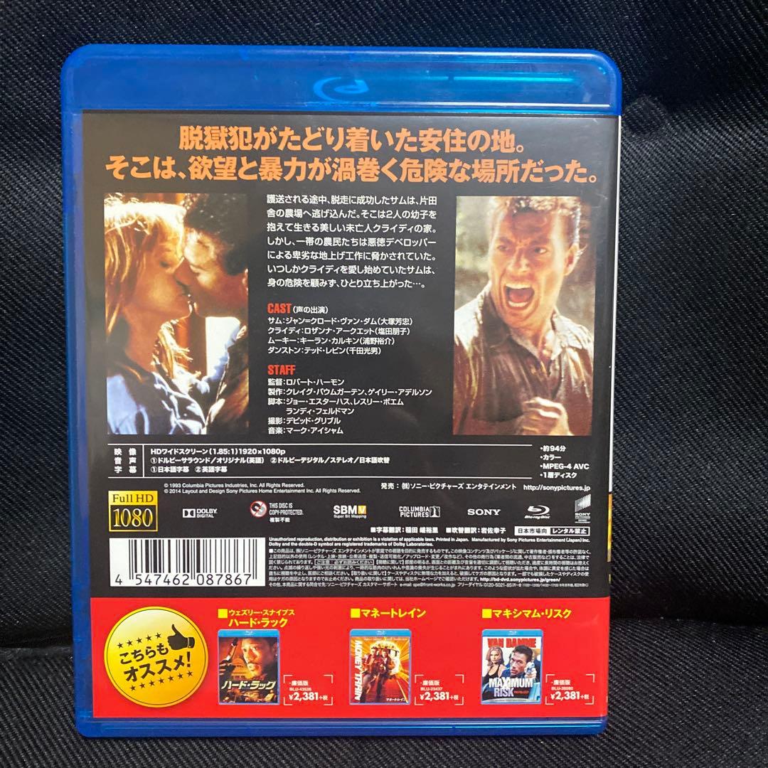 ボディ・ターゲット('93米)