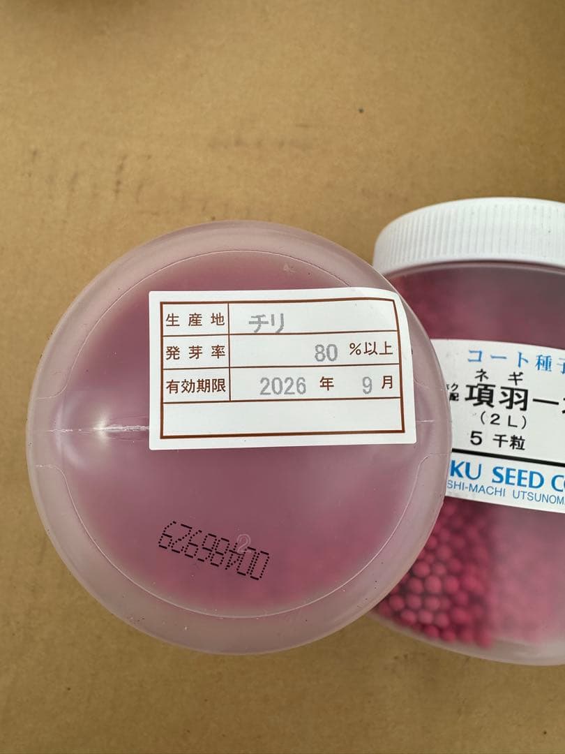 ネギ種　項羽一本太　15000粒