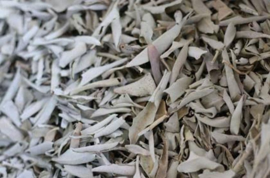 激安価格☆無農薬アウトレットホワイトセージ1KG枝無し業務用価額