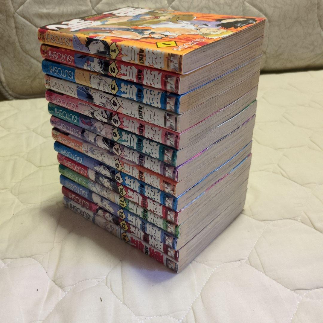 ★激レア　貴重　美品　愛気 AIKI 1～14巻 全14巻　ISUTOSHI
