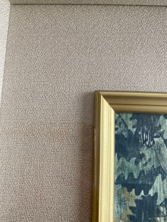 平山郁夫　仏教伝来　ユネスコ・シルクロード総合研究記念　巧藝画　限定300部