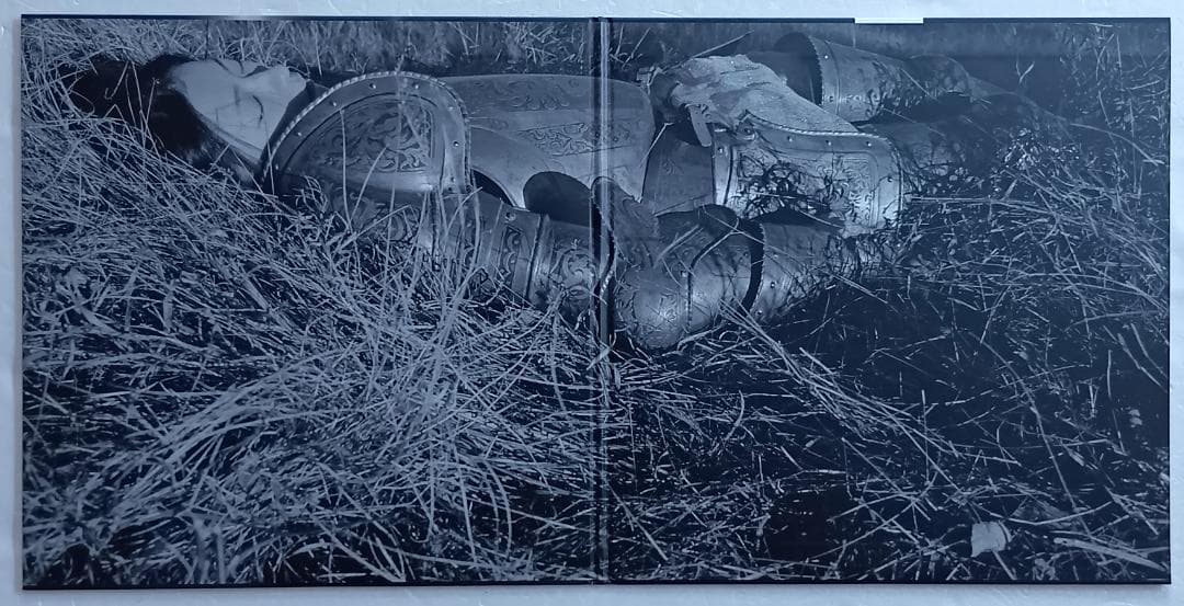 2019年オリジナルLP　椎名林檎　三毒史　2枚組　初回生産限定アナログ盤