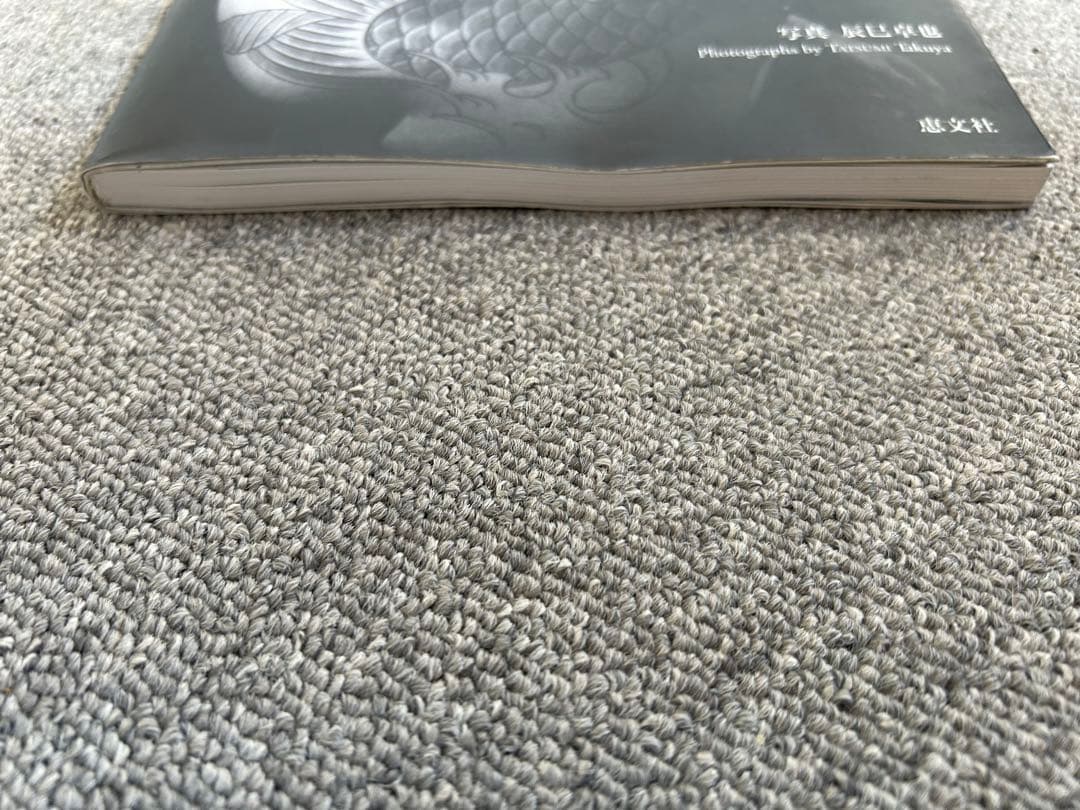 絶版 希少本 文身 - 三代目彫よし一門 彫ひと / 辰巳卓也 / タトゥー