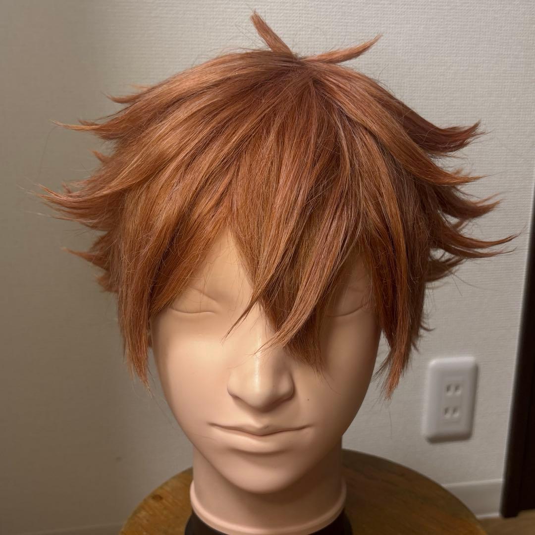 【セット済】エース・トラッポラ コスプレ ウィッグ