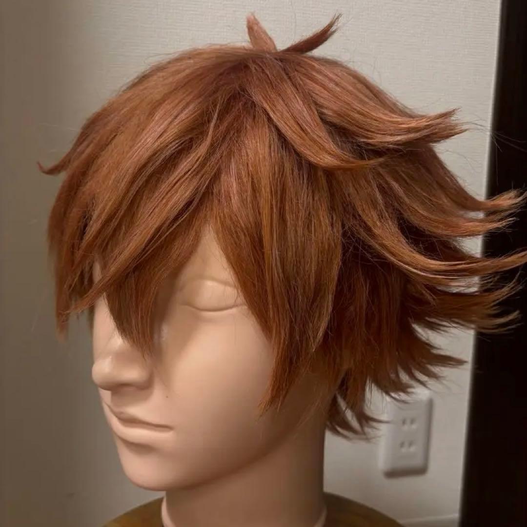 【セット済】エース・トラッポラ コスプレ ウィッグ