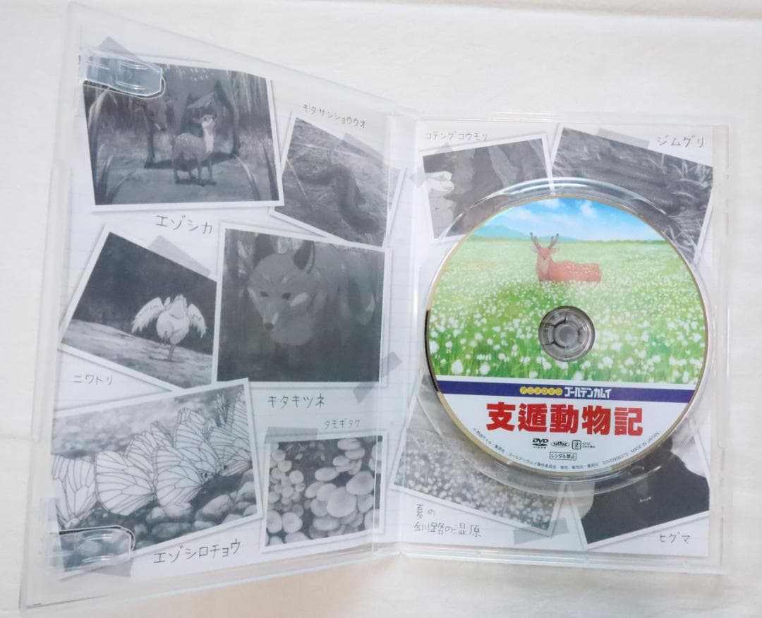 ゴールデンカムイ 23巻 アニメDVD同梱版 野田サトル著