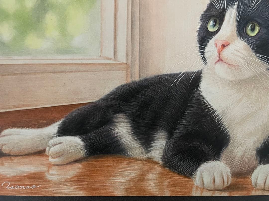 色鉛筆画 A4 ハチワレ猫128