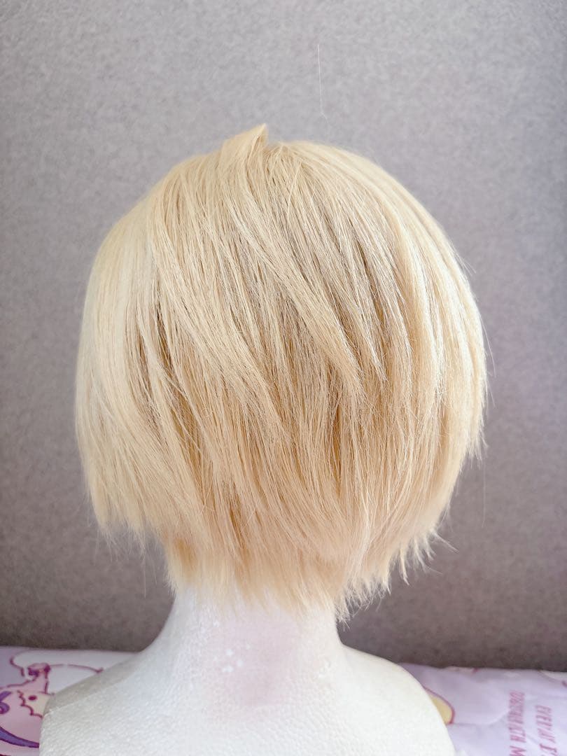 エクスアルビオ 学生 衣装 ウィッグ ローファー セット コスプレ