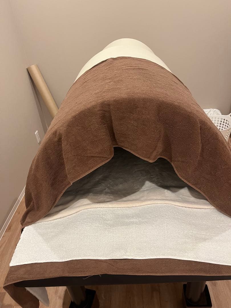 遠赤外線ドーム型サウナ　フジカ スマーティ F4-A5型