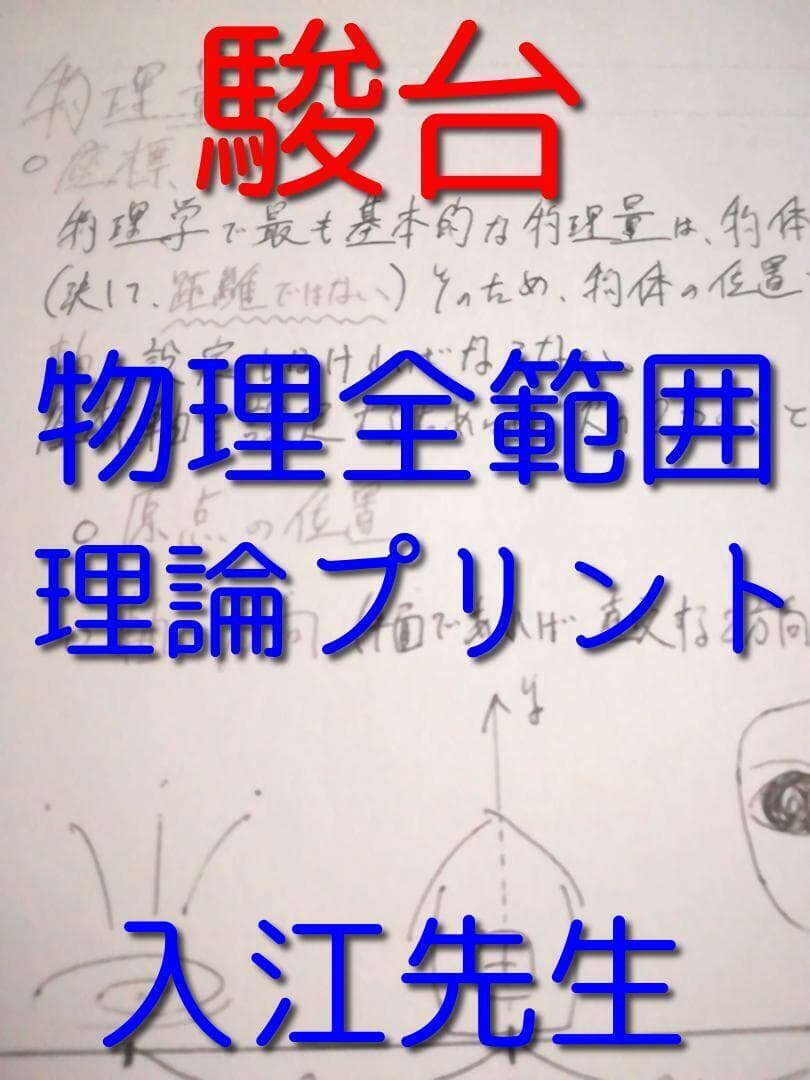 最新　駿台　入江先生による通期全範囲物理理論プリントセット　鉄緑会　河合塾　東進