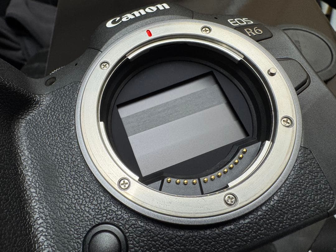 Canon EOS R6 ミラーレスカメラ 付属品完備