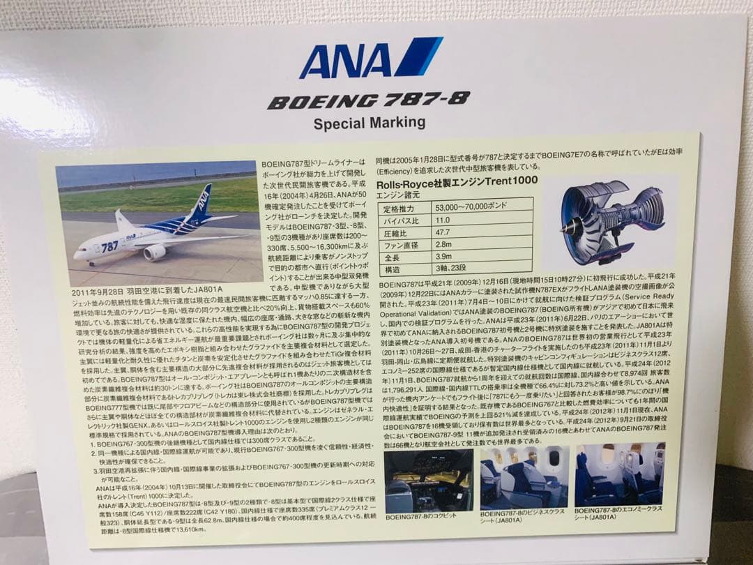 全日空商事公式モデルＢ７８７－８／ＪＡ８０１Ａ特別塗装機／ＨＮＤ４０８エプロン版