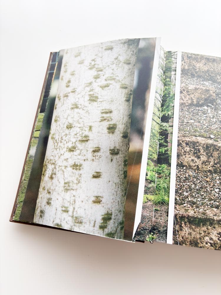 洋書 Vogt Landscape: Miniature and Panorama