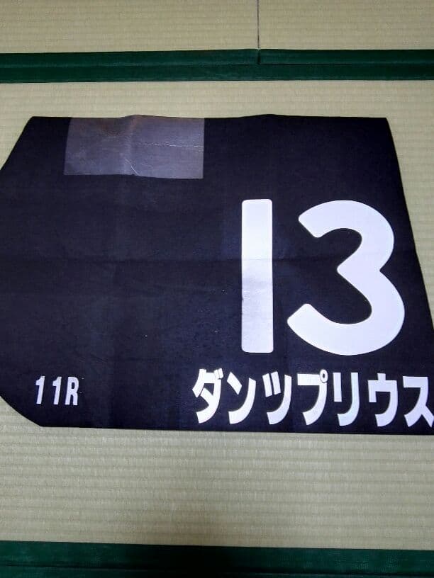 【超激レア】　実使用ゼッケン　ダンツプリウス号