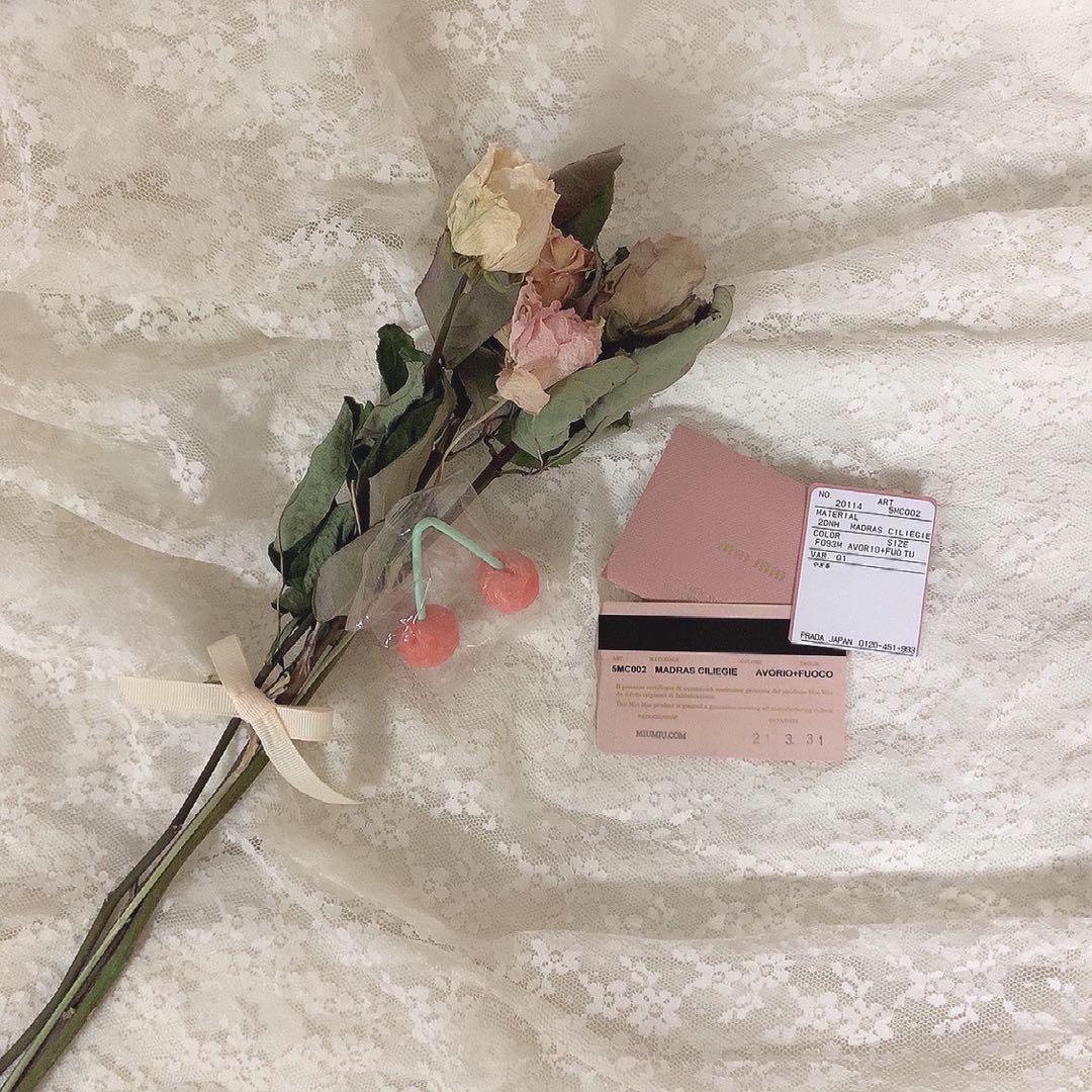 miumiu プリント入り マドラスレザー カードケース